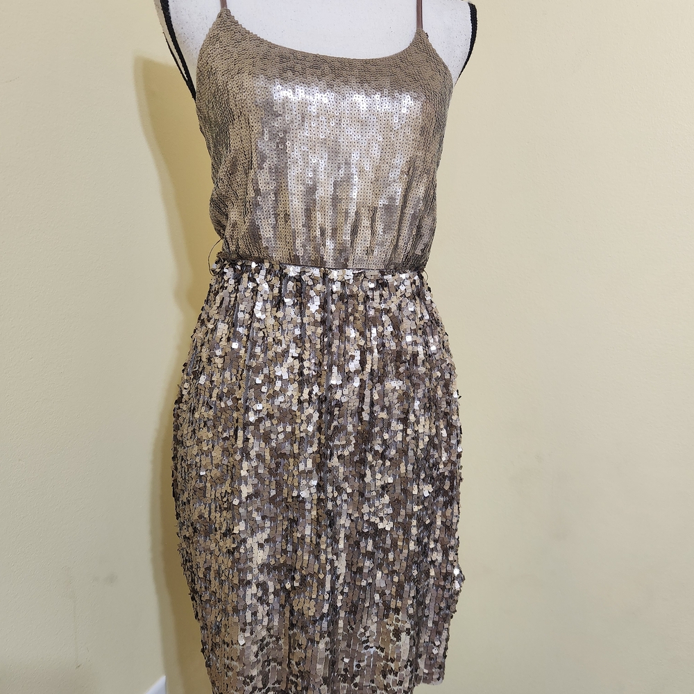 Express Metallic Sequin Blouse